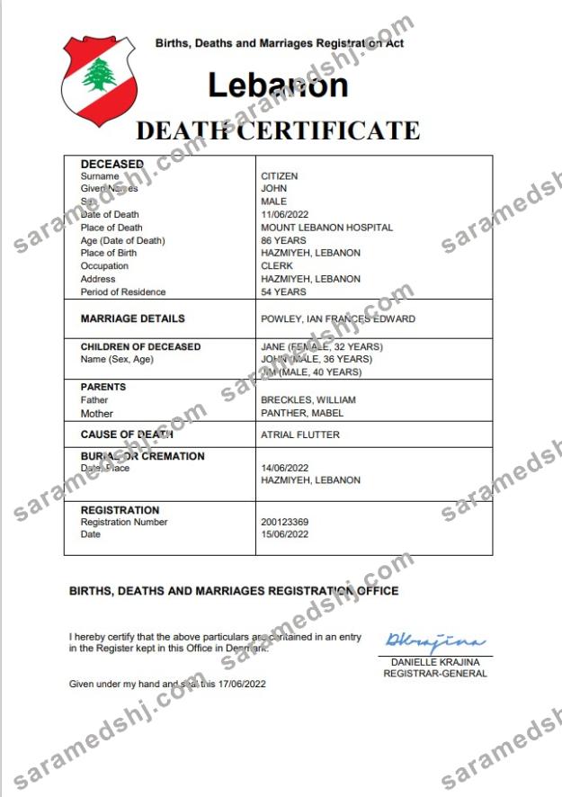 Lebanon death certificate Word and PDF template